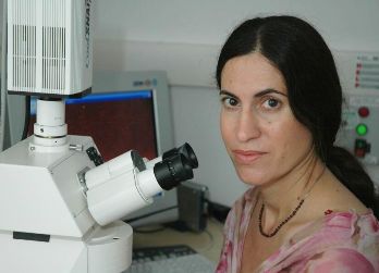 Prof. Sigal Ben-Yehuda