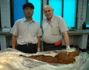 Prof. Mark Spigelman of the Hebrew University and Prof. Dong Hoon Shin of Seoul National University examining one of the excavated mummies in the lab. (Photo: Courtesy of Seoul National University)