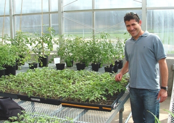 Dr. Uri Krieger with the hybrid tomato plants (Photo: Dr. Zach Lippman)