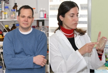 Dr. Eli Pikarsky (left) and Prof. Sigal Ben-Yehuda 