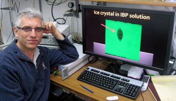 Dr. Ido Braslavsky (Hebrew University photo)