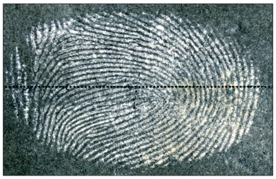 Example of negative image of fingerprint shown in new method of imaging developed by researchers at the Hebrew University of Jerusalem. (Hebrew University photo)  