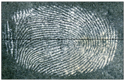 Example of negative image of fingerprint shown in new method of imaging developed by researchers at the Hebrew University of Jerusalem. (Hebrew University photo)