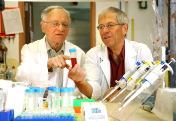 Prof. Shimon Gatt (left) and Dr. Arie Dagan in their laboratory at the Hebrew University-Hadassah Medical School (Photo: Sasson Tiram)