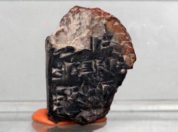 The tiny clay fragment – dating from the 14th century B.C.E. – found by Hebrew University archaeologists in excavations outside Jerusalem’s Old City walls contains the oldest written document ever found in Jerusalem. (Photo: Sasson Tiram)