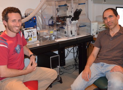 PhD student Shai Melcer (left) with Dr. Eran Meshorer at the Alexander Silberman Institute of Life Sciences, Hebrew University (photo: Eran Meshorer)